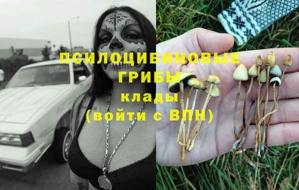 меф Пестово