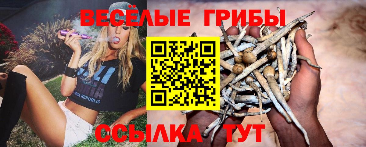 Псилоцибиновые грибы Magic Shrooms Шуя