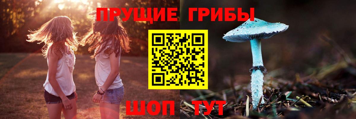 Псилоцибиновые грибы мухоморы  Галлюциногенные грибы мухоморы  Вход с VPN  Шуя 