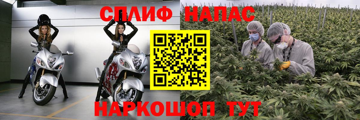 МАРИХУАНА ГИДРОПОН  МАРИХУАНА MAZAR  Шуя  Вход с VPN 
